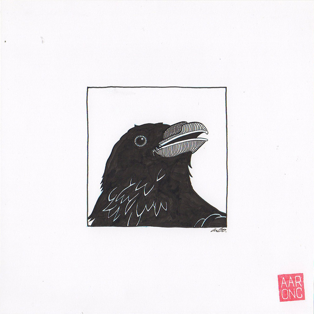 Entropy - Raven - unused